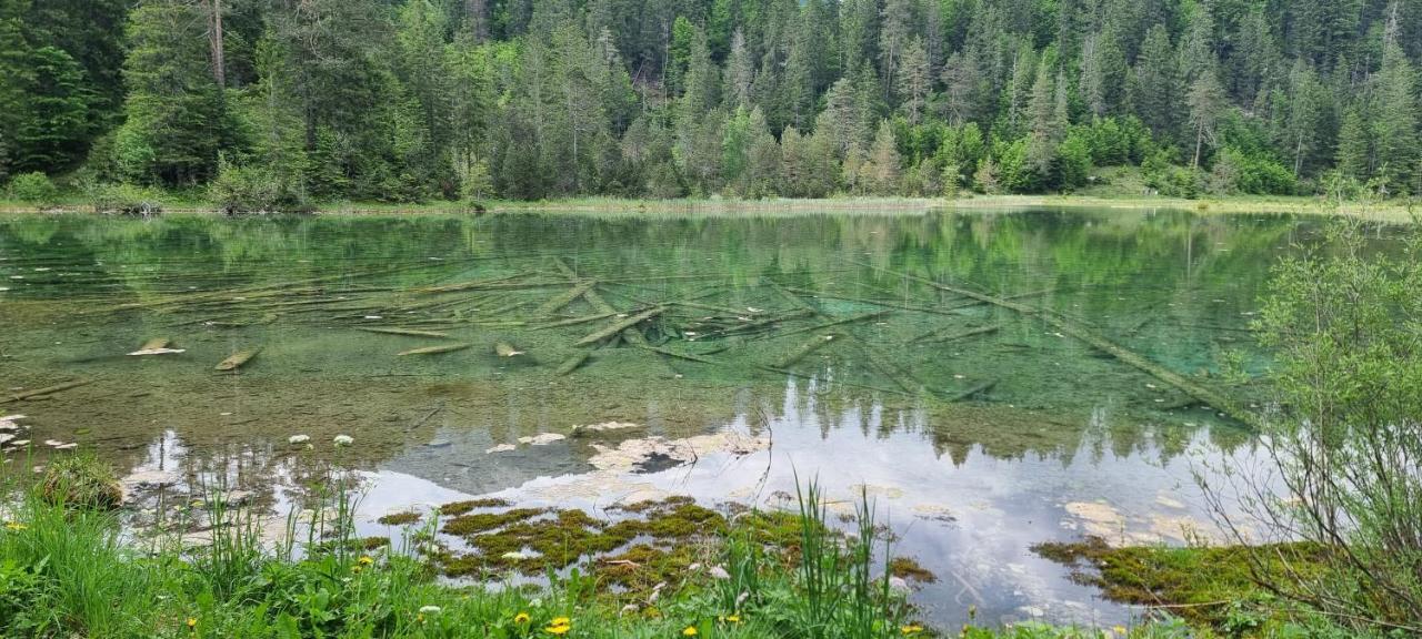 Ferienwohnung Ela Reutte Exteriér fotografie